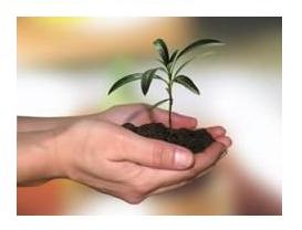 Entrepreneur Nurture or Nature